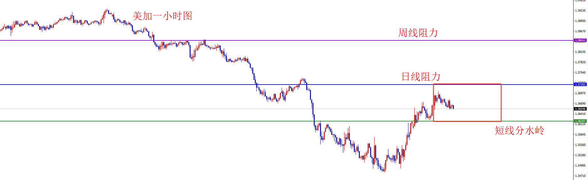 1770101846392373.png 美加.png