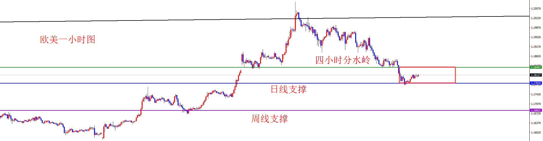 1770101812243833.png 欧美.png