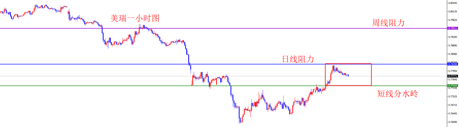 1770101834962227.png 美瑞.png