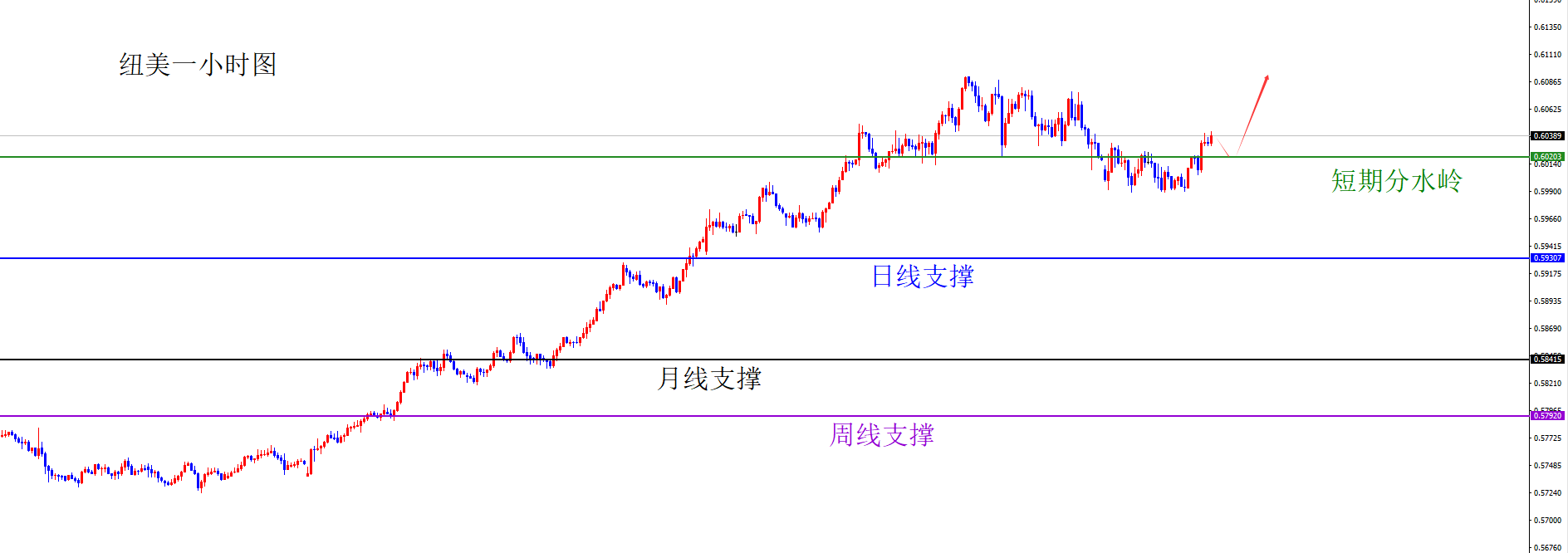 1770101777884954.png 纽美.png